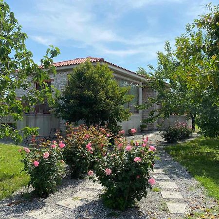 Kampus Luxury Villas 特里卡拉 外观 照片
