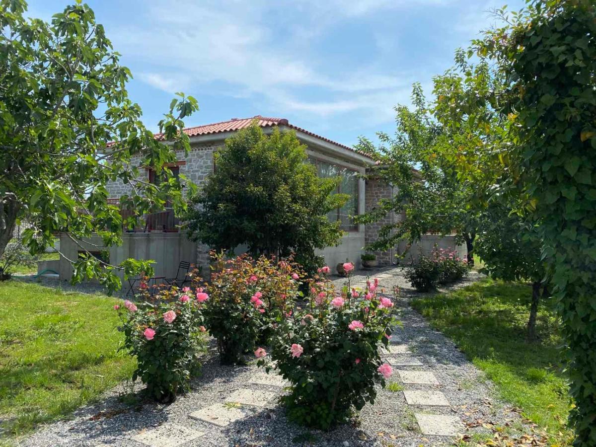 Kampus Luxury Villas 特里卡拉 外观 照片
