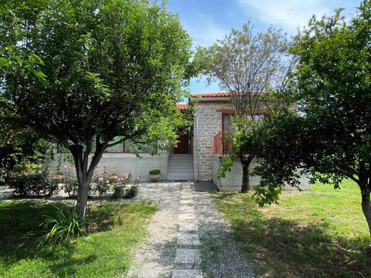 Kampus Luxury Villas 特里卡拉 外观 照片